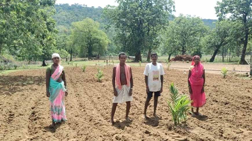 बंदूक की गूंज से फलों और फूलों की महक तक का सफर