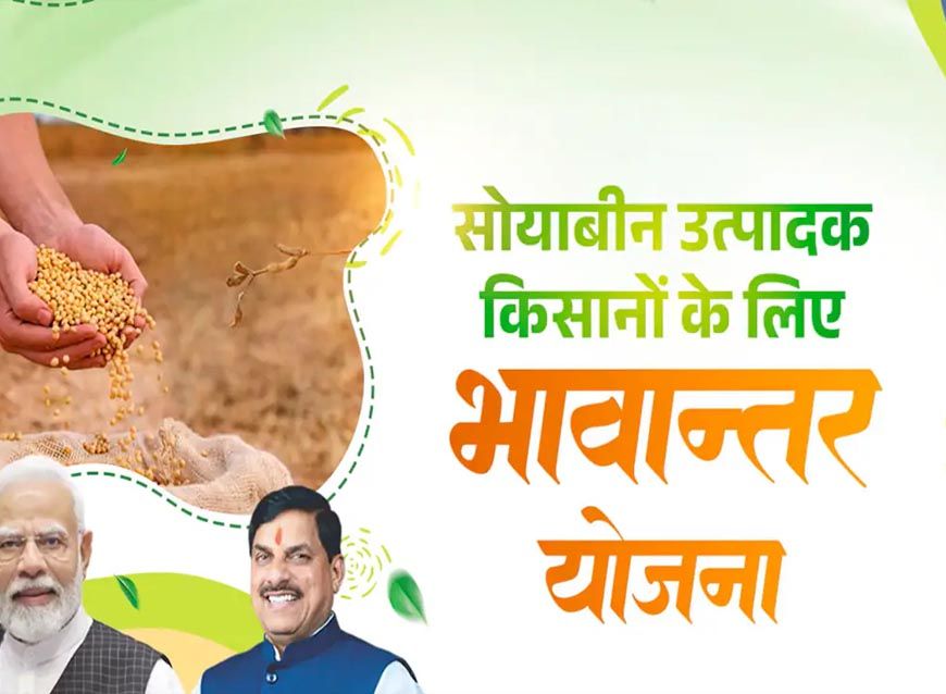 भावांतर योजना में आज का मॉडल रेट 4056 रुपए प्रति क्विंटल जारी