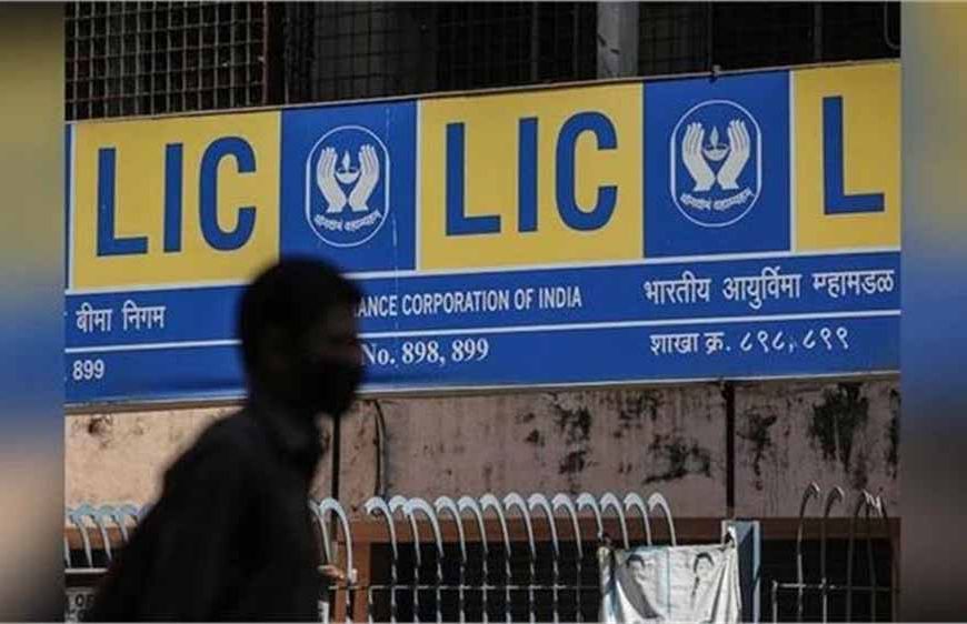 LIC का पोर्टफोलियो शिफ्ट: प्राइवेट बैंकों से दूरी, पब्लिक बैंकों पर बढ़ा भरोसा