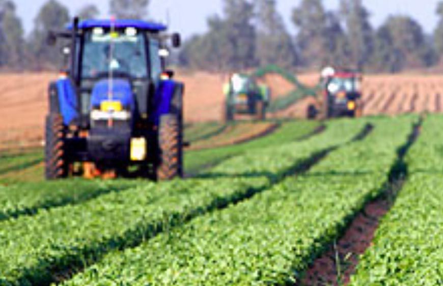 विशेष आर्टिकल- उत्तर प्रदेश में कृषि क्षेत्र का स्वर्णिम उत्थान: योगी सरकार की उपलब्धियां और किसानों की प्रेरक सफलता कहानियां