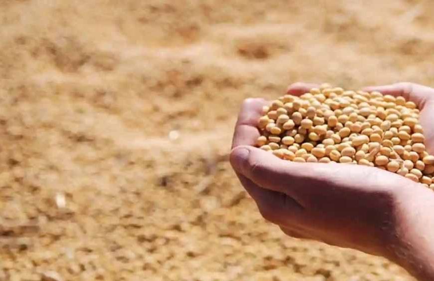 भावांतर योजना में आज बढ़कर 4077 रुपए मॉडल रेट जारी