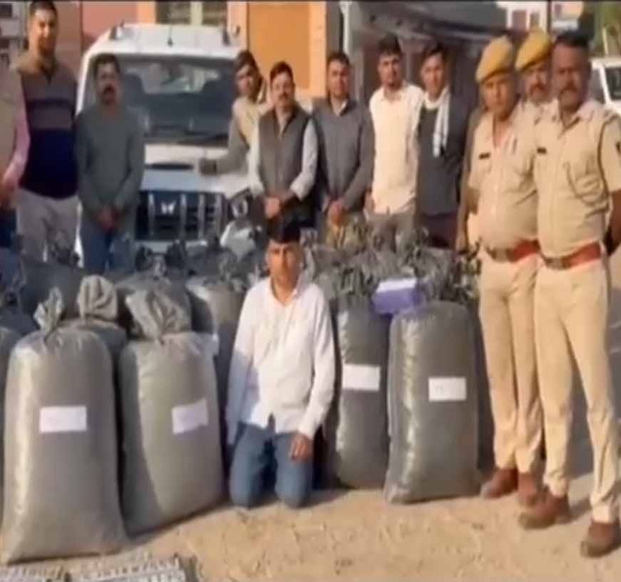 जोधपुर में एएनटीएफ की बड़ी कार्रवाई: 82 लाख का डोडा पोस्त बरामद, तस्कर गिरफ्तार