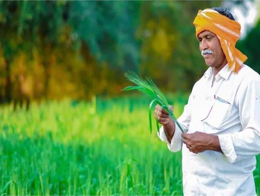 सरकार का सख्त फैसला: अब किसानों को 30 दिन में मिलेगा फसल बीमा क्लेम, कंपनियों पर लगाम