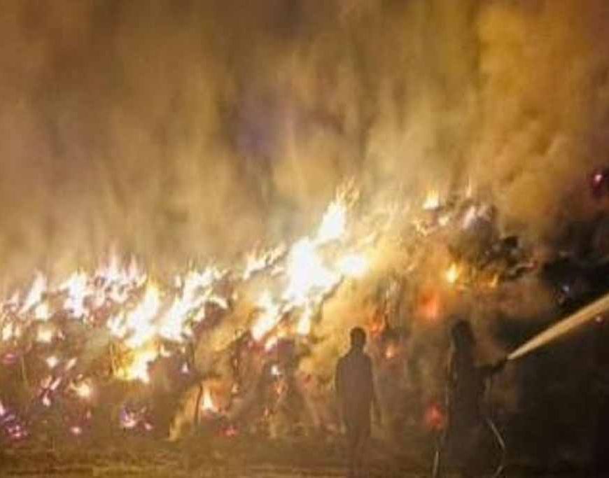 पराली कांड पर कड़ा एक्शन: फतेहाबाद SP ने 4 पुलिसकर्मी सस्पेंड किए, 23 को नोटिस