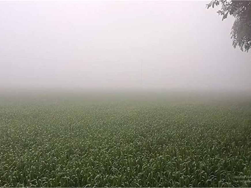 पंजाब में ठंड का पहला बड़ा असर, ये जिला बना ‘मिनी शिमला’