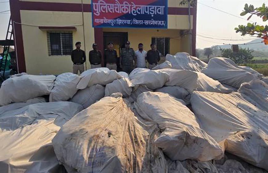 नशे के विरूद्ध खरगोन पुलिस की अब तक की सबसे बड़ी कार्रवाई पहाड़ी क्षेत्र में अवैध गांजा की खेती का भंडाफोड़