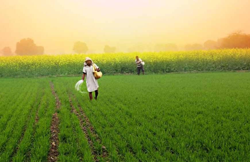 कृषि जोन में भी लग सकेंगे उद्योग! सरकार ने दी बड़ी राहत, बदले मिक्स्ड लैंड यूज़ के नियम
