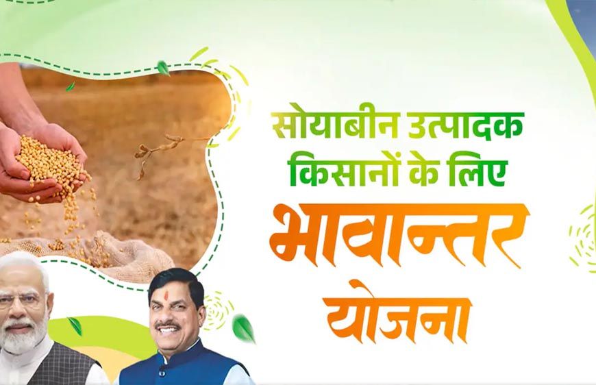 भावांतर योजना में सोयाबीन का मॉडल रेट बढ़कर हुआ 4184 रुपए
