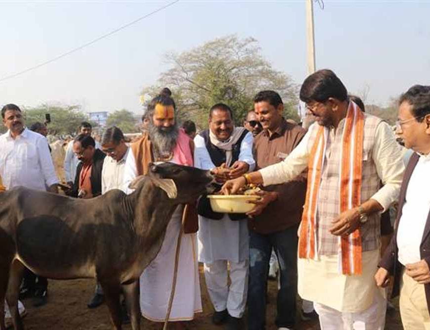 प्रदेश में अधिक से अधिक बनें स्वावलंबी गो-शालाएँ : राज्यमंत्री पटेल