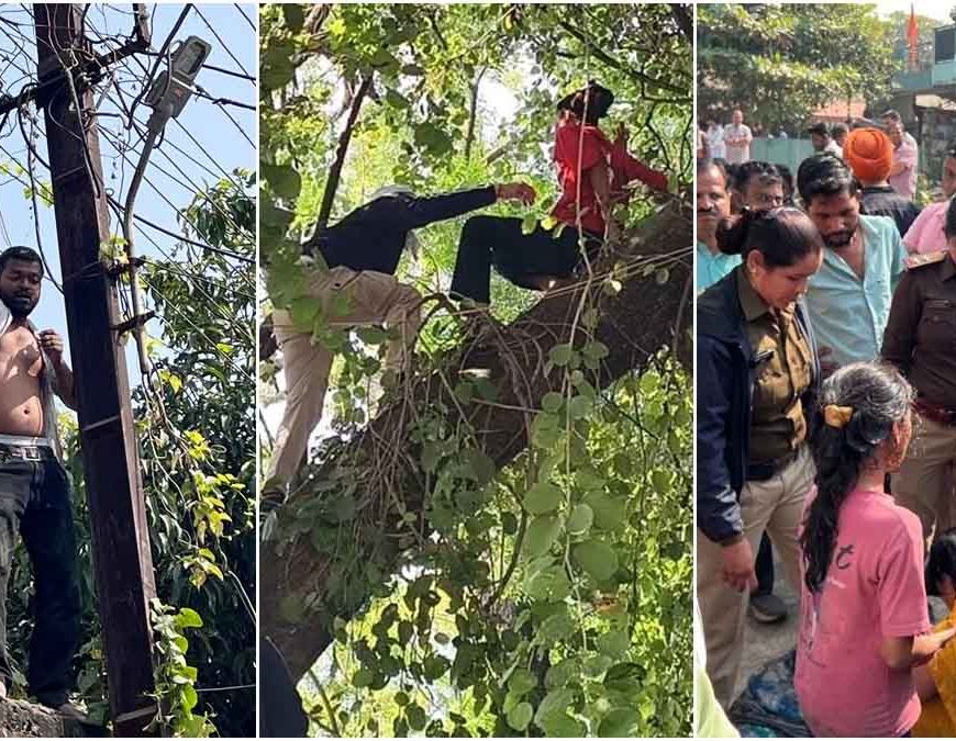 MP News: इंदौर में अवैध मकान हटाने पर युवक ने पकड़ा बिजली का तार, युवती पेड़ पर चढ़ी