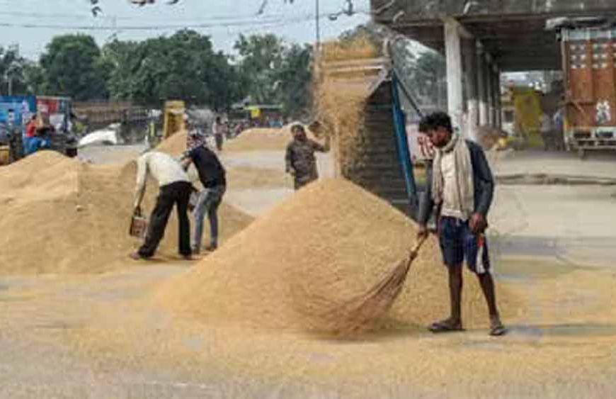 51 हजार से अधिक किसानों से किया गया धान क्रय
