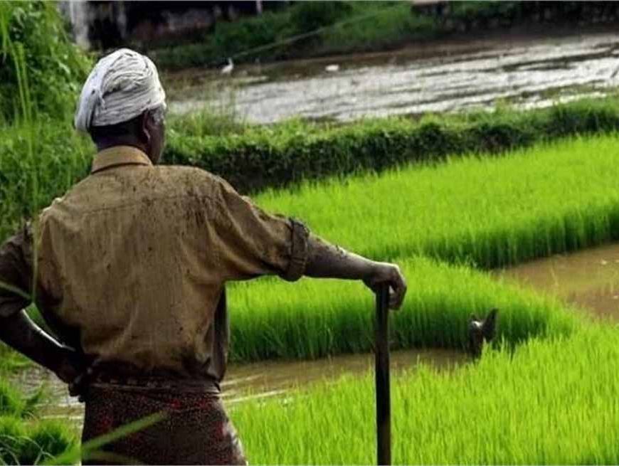 हरियाणा में मौसम बदलने वाला! किसान अभी बरतें सावधानी, IMD ने जारी किया अलर्ट