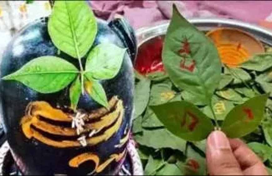 शिवलिंग पर ऐसे चढ़ाए बेलपत्र, खत्म होगी धन संबंधी दिक्कत