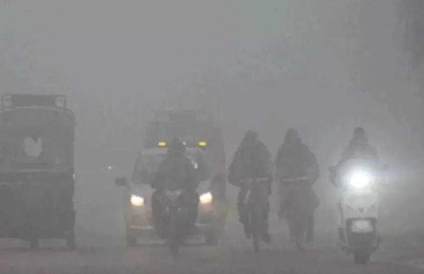 पंजाब में कोहरे की दस्तक: अमृतसर में दृश्यता 800 मीटर, फरीदकोट सबसे ठंडा शहर