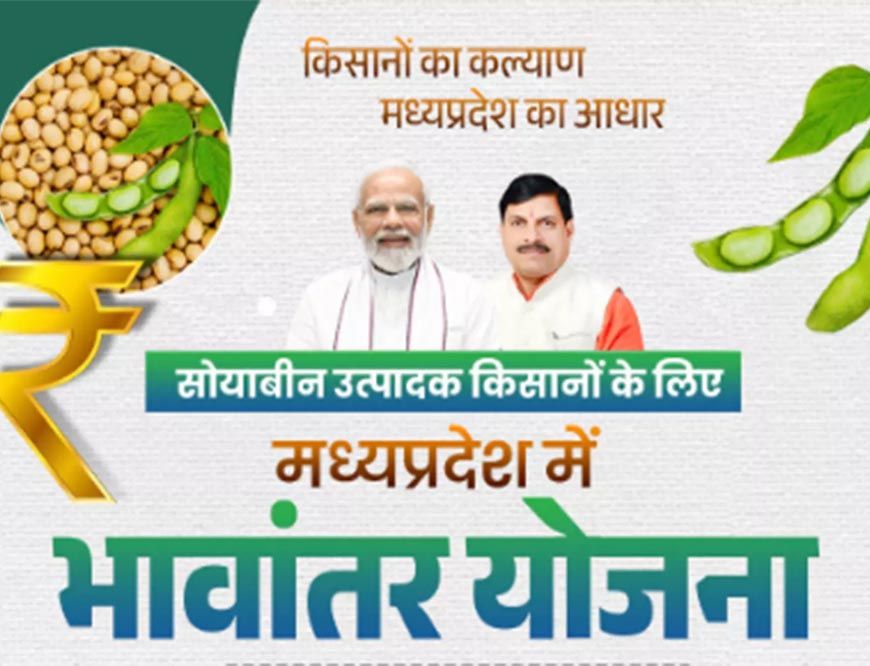 भावांतर योजना में सोयाबीन का मॉडल रेट बढ़कर हुआ 4267 रुपए