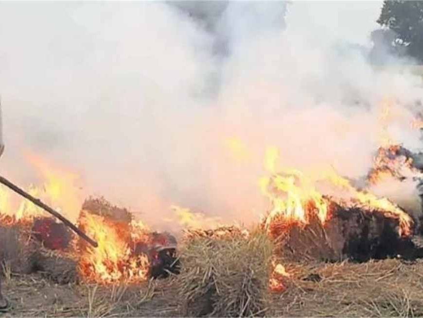 धान अवशेष जलाने पर सख्ती: 17 किसान गिरफ्तार, 7 पर केस दर्ज
