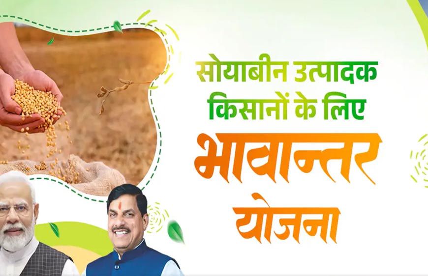 भावांतर योजना में सोयाबीन का मॉडल रेट बढ़कर हुआ 4271 रुपए