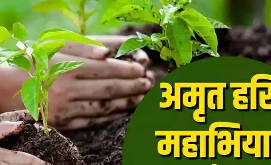 अमृत हरित महाअभियान के लिये संभागवार बैठकें, स्थानीय नर्सरियों को सुदृढ़ करने के निर्देश