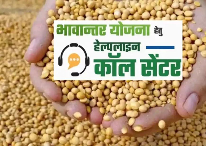 भावांतर योजना में सोयाबीन का मॉडल रेट बढ़कर हुआ 4285 रुपए