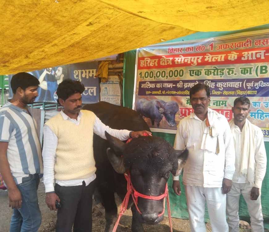 सोनपुर मेले में अनोखा आकर्षण: प्रधान बाबू की कीमत पहुँची एक करोड़!