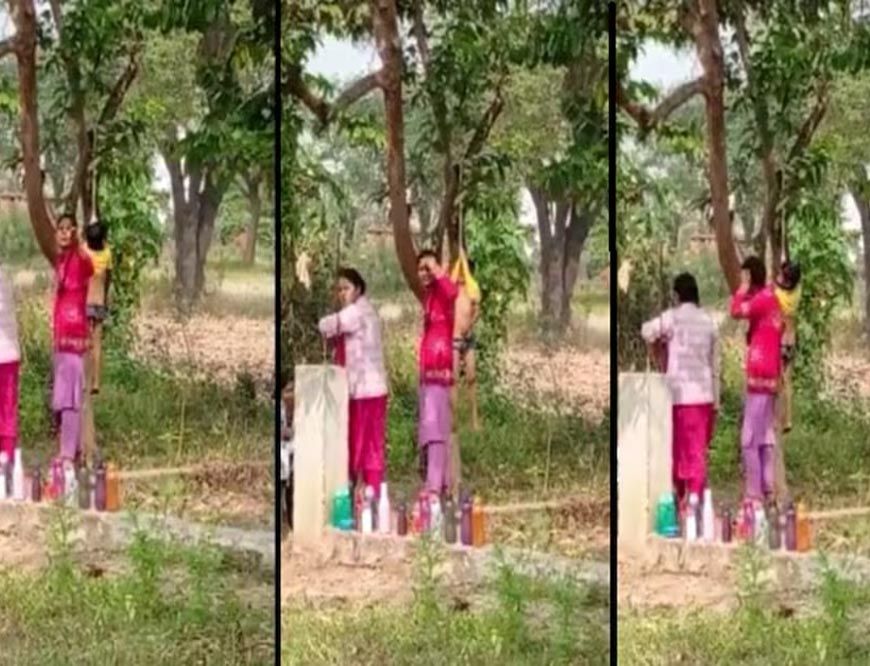 सूरजपुर: स्कूल में मासूम बच्चे को टी-शर्ट से पेड़ पर लटकाने का वीडियो वायरल, प्रशासन में खलबली