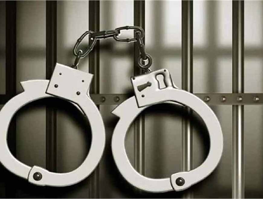 हिट एंड रन केस में बुरी फंसी जालंधर के मशहूर अस्पताल की डॉक्टर, किया सरेंडर