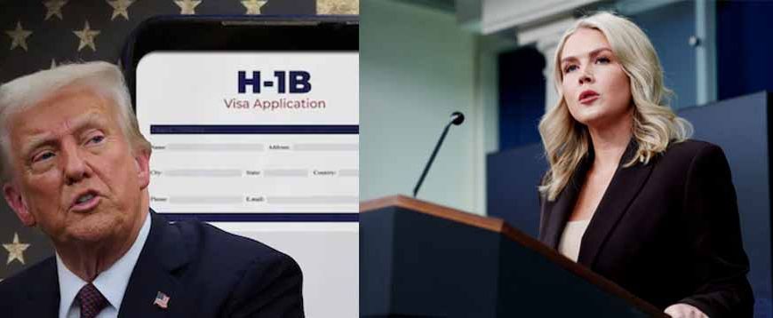 व्हाइट हाउस का बड़ा बयान: H1B पर ट्रंप की टिप्पणी को बताया गलतफहमी, विदेशी प्रतिभा को लेकर सरकार सकारात्मक