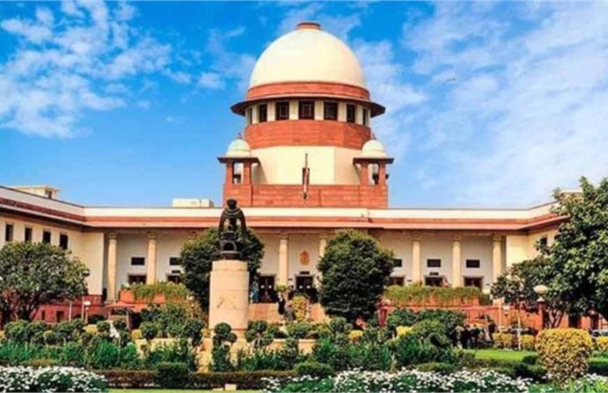करनाल में सड़क निर्माण के लिए 40 पेड़ काटे, सुप्रीम कोर्ट ने हरियाणा सरकार को लगाई कड़ी फटकार
