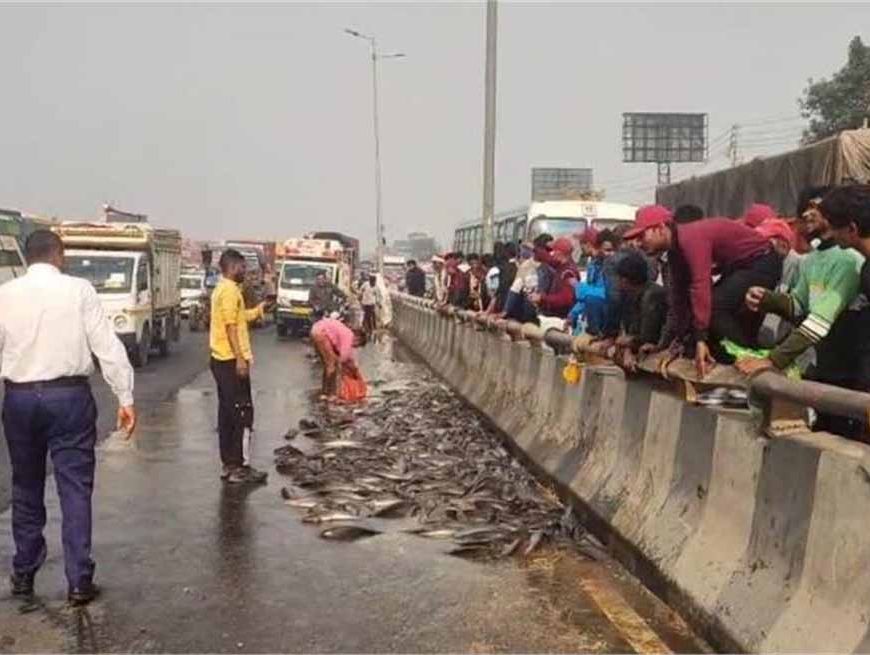 सोनीपत NH-44 पर मछलियों से लदा कैंटर पलटा, भारी भीड़ उमड़ी और जाम से यात्री परेशान
