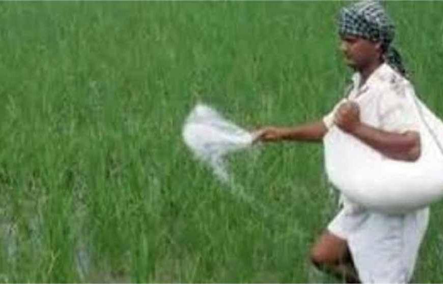 हरियाणा में खाद वितरण का नया नियम लागू, अब किसानों को ये काम करने पर ही मिलेगी खाद