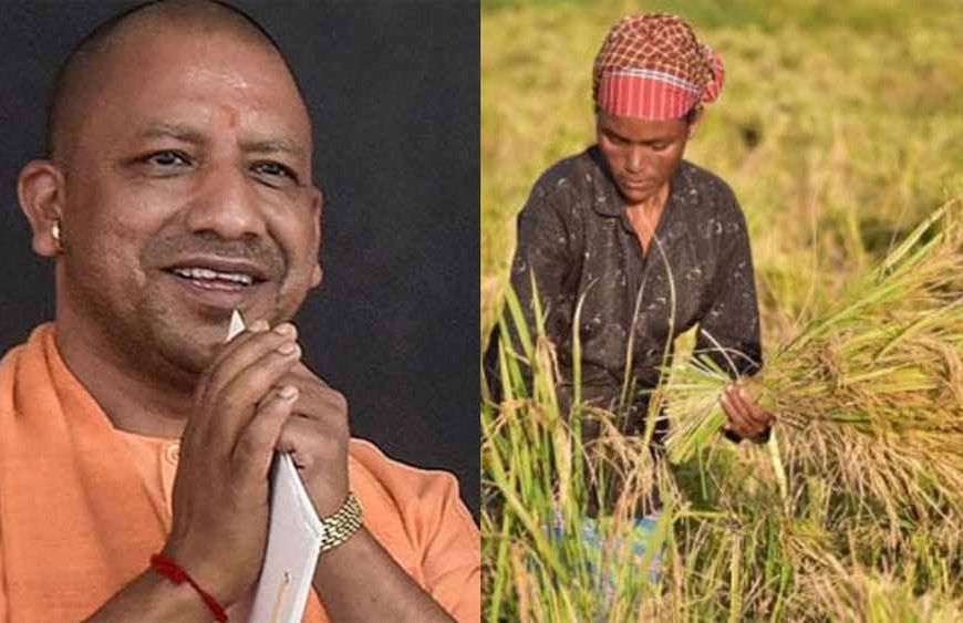 योगी सरकार ने रखा ध्यान तो उन्नत हुई खेती और खुशहाल हुआ किसान