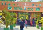 पटना जू जाने की तैयारी? टिकट अब तीन गुना महंगे, देखें नई कीमतें