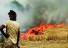 Stubble Burning पर बड़ी राहत: पराली जलाने के मामलों में रिकॉर्ड गिरावट, आंकड़े चौंकाने वाले