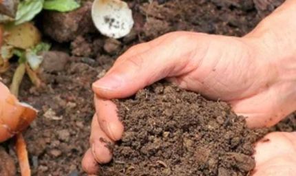 हरियाणा की ‘बबीता दीदी’ का कमाल: कचरे से बना रहीं कमाई का नया मॉडल, गांव में मिसाल बनीं