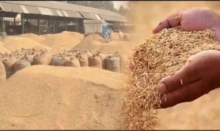 हर किसान का धान खरीदा जाए—सीएम योगी का सख्त निर्देश, अफसरों को दिया जीरो-टॉलरेंस का संदेश