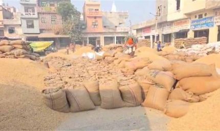 गोहाना अनाज मंडी में बासमती के दाम उछले, किसानों के चेहरे खिले