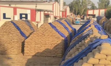 यमुनानगर धान घोटाला: 62 करोड़ की हेराफेरी में संदीप सिंगला गिरफ्तार, पत्नी अब भी फरार