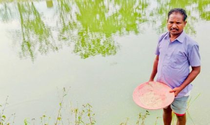 रायपुर : डबरी बनी खुशहाली की राह : किसान हिरमाराम की आमदनी हुई दोगुनी, सालाना बढ़ी एक लाख रुपये तक