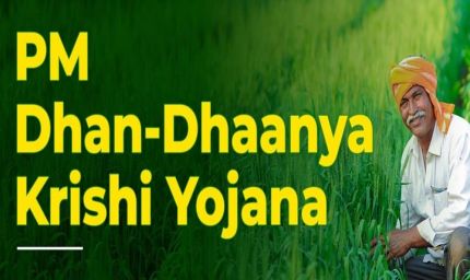 रायपुर : प्रधानमंत्री धन-धान्य कृषि योजना के तहत लगेगा विशेष कृषि शिविर