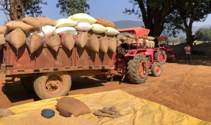 रायपुर : उपार्जन केंद्रों में धान खरीदी सुचारू रूप से जारी