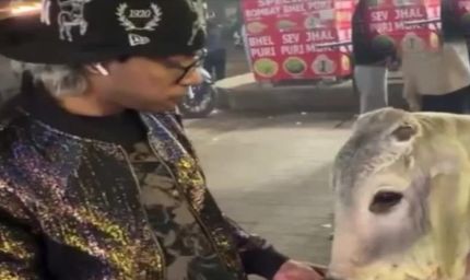 गुरुग्राम में पकड़ा गया गाय को चिकन मोमोज खिलाने वाला यूट्यूबर, कहा- पैसे का था लालच