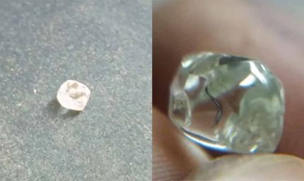 पन्ना में लकवाग्रस्त किसान की किस्मत चमकी, 3.39 कैरेट का हीरा मिला—कीमत जानकर दंग रह जाएंगे