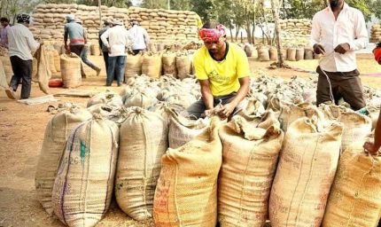धमतरी में रिकॉर्ड रफ्तार से धान खरीदी, किसानों को 409 करोड़ का हुआ भुगतान