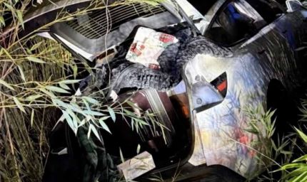 कौन हैं विक्रम बेरी? टेस्ला फैक्ट्री में आग लगाने की कोशिश के आरोप में भारतीय मूल का करोड़पति गिरफ्तार