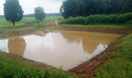 रायपुर : डबरी निर्माण से ग्रामीण आजीविका को मिल रही नई दिशा