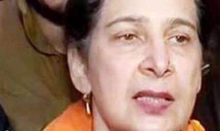 ‘पंजाब में बड़ा जमीन घोटाला?’ भगवंत मान सरकार पर नवजोत कौर सिद्धू का गंभीर आरोप, मांगी सुरक्षा