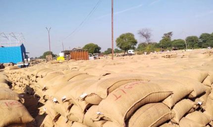 महासमुंद : धान खरीदी केंद्रों में अव्यवस्था पर तीन प्राधिकृत अधिकारी पद से पृथक