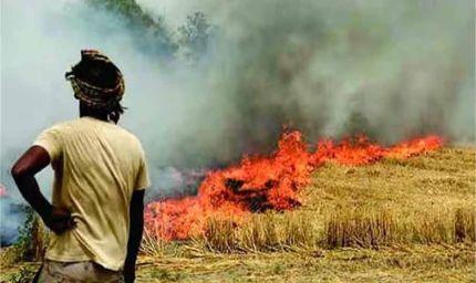 Stubble Burning पर बड़ी राहत: पराली जलाने के मामलों में रिकॉर्ड गिरावट, आंकड़े चौंकाने वाले