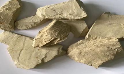 देसी मुल्तानी मिट्टी ने बढ़ाया भारत का मान, अमेरिका-जापान चुकाते हैं भारी कीमत