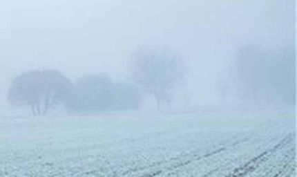 पंजाब के 13 जिलों में येलो अलर्ट जारी, 16 दिसंबर तक मौसम को लेकर IMD की बड़ी चेतावनी